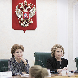 Бизнес-леди обсудили проекты в Совете Федерации