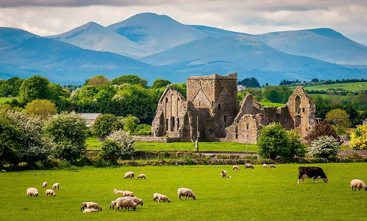 Online Tour of Ireland of the 20th Century Online Tour of Ireland of the 20th Century