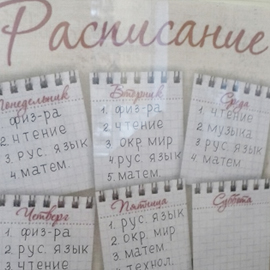 Студенты колледжа на практике в школах Студенты колледжа на практике в школах