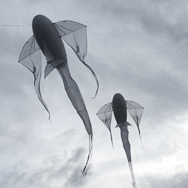 ПОЛИТЕХническая практика ПОЛИТЕХническая практика