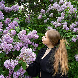 �������� �� ���������� ����, ������ ������� � ����������� (�������� ����) 