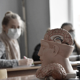 Анатомия центральной нервной системы Анатомия центральной нервной системы