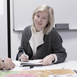 Как устроен мозг? Как устроен мозг?