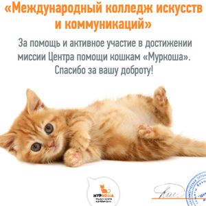 Студенты МКИК сняли рекламное видео для центра «Муркоша» Студенты МКИК сняли рекламное видео для центра «Муркоша»