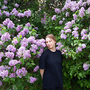 �������� � ��������� ���� (��������� �����)