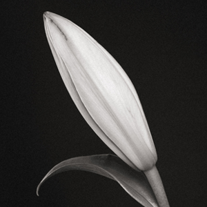 ��������� ��������� � ������ ��������� ��������