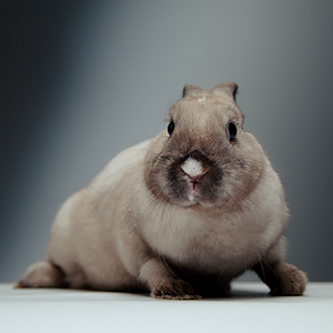 ��������� ��������� �������� � ���������� ����