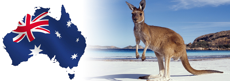 ������ �������