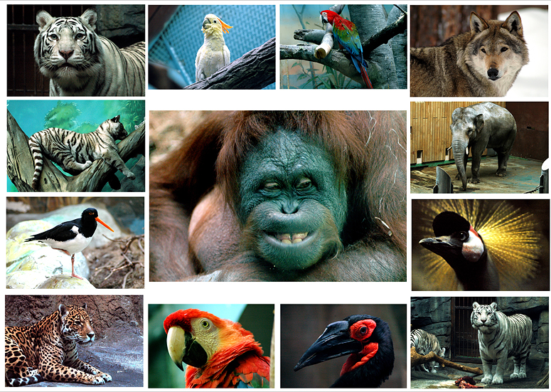 �������� ������� 3